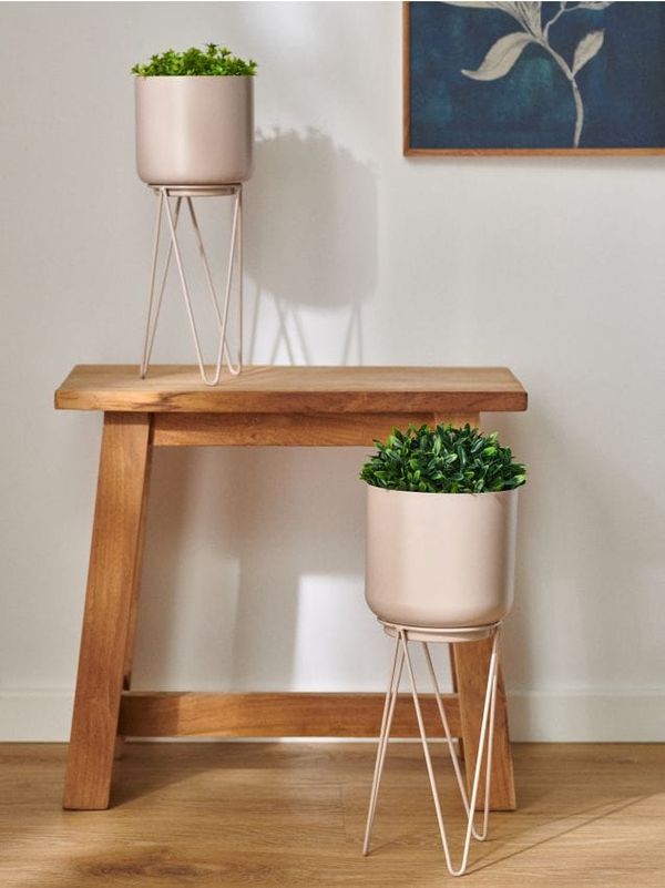 Sinsay Sinsay - Цветарник - бежово