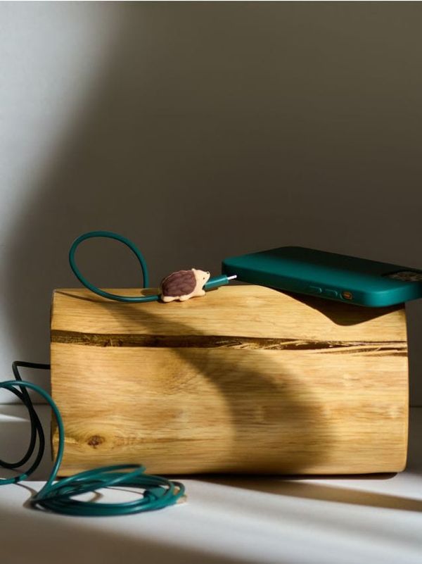 Sinsay Sinsay - Декоративен кабелен накрайник - многоцветен