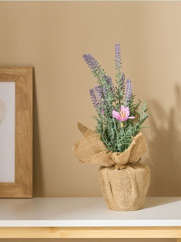 Sinsay Sinsay - Декоративно изкуствено растение - лавандула