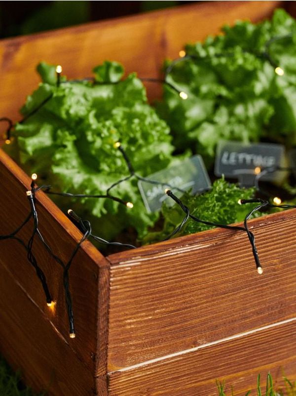 Sinsay Sinsay - Градински гирлянд - бял