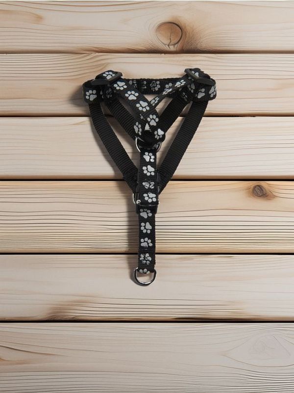 Sinsay Sinsay - Ходеща предница за куче - черeн