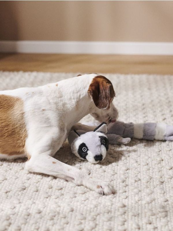 Sinsay Sinsay - Играчка за домашни любимци - Светло сиво