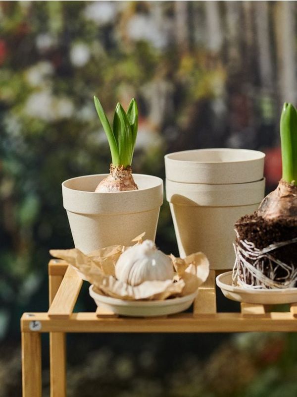 Sinsay Sinsay - Кашпи, 3 броя - бежово