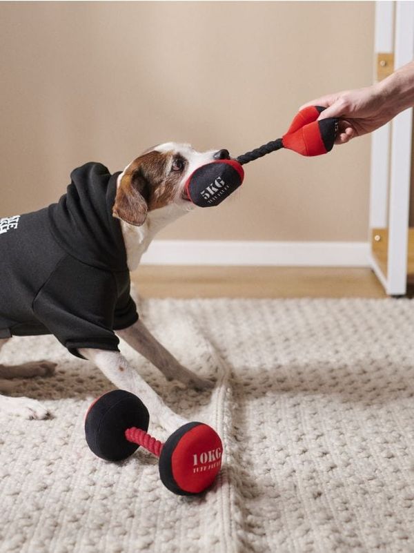 Sinsay Sinsay - Кучешка играчка 2 pack - червeн