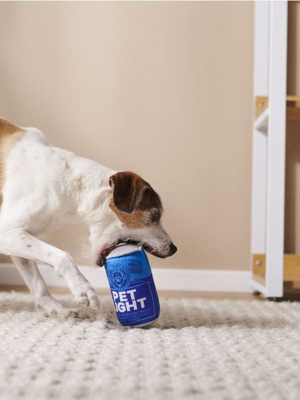 Sinsay Sinsay - Кучешка играчка - бледосиньо