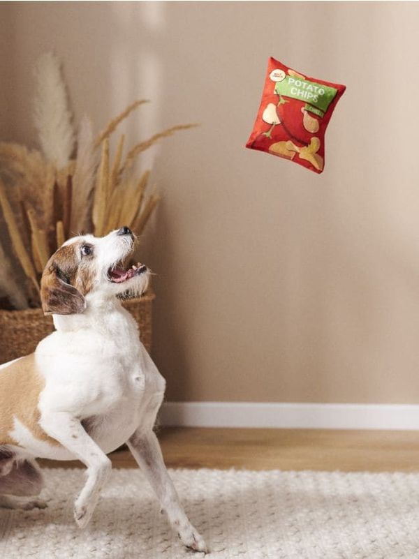 Sinsay Sinsay - Кучешка играчка - червeн