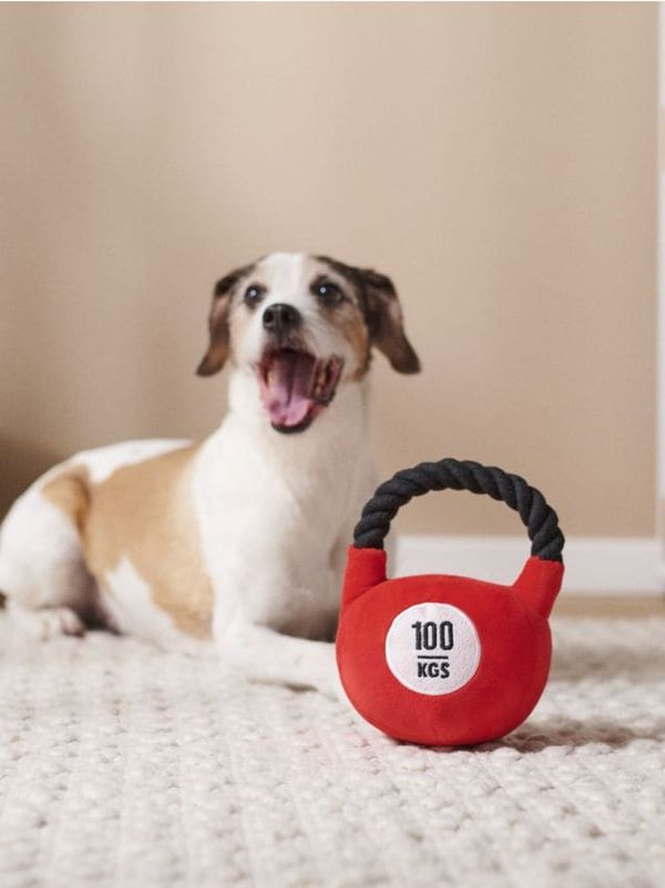 Sinsay Sinsay - Кучешка играчка - червeн