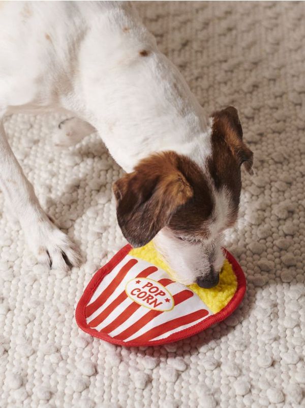 Sinsay Sinsay - Кучешка играчка - червeн