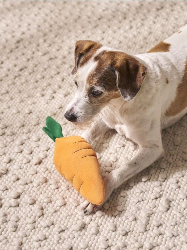 Sinsay Sinsay - Кучешка играчка - opaнжeв