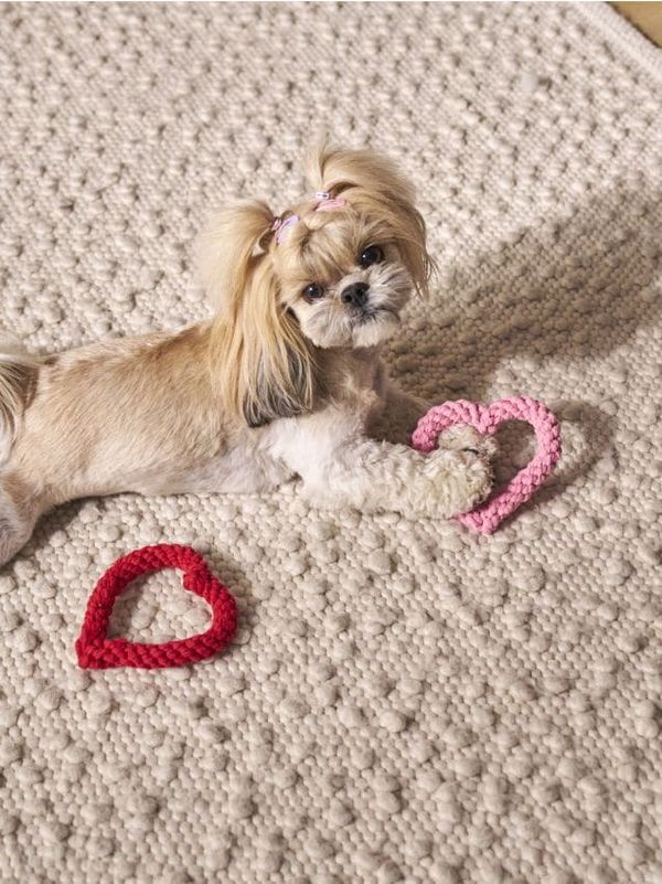 Sinsay Sinsay - Кучешка играчка - пастелнорозово