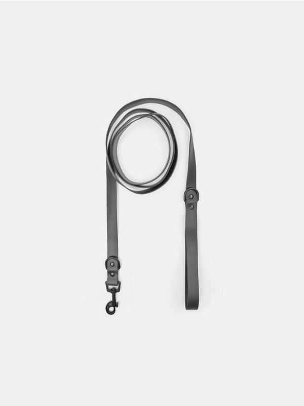 Sinsay Sinsay - Кучешка каишка - черeн