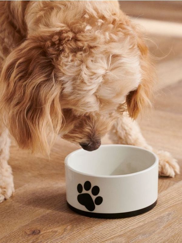 Sinsay Sinsay - Купа за домашен любимец - кремав