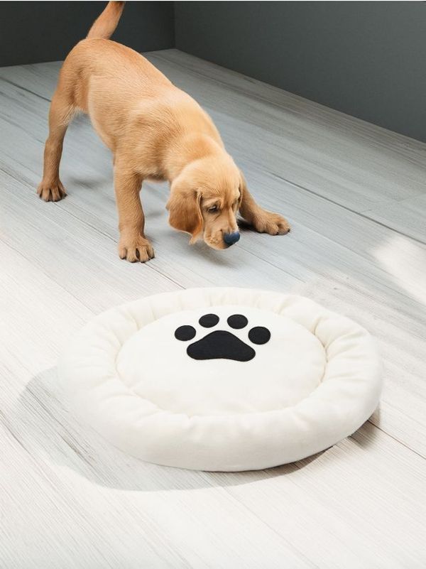 Sinsay Sinsay - Легло за домашни любимци - бежово