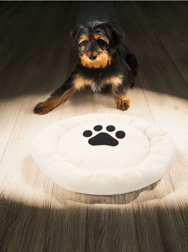 Sinsay Sinsay - Легло за домашни любимци - бежово