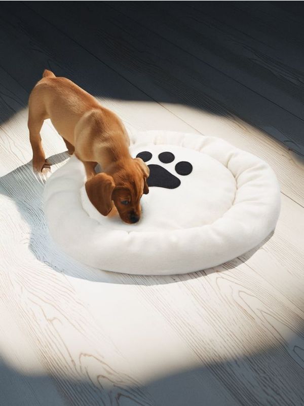 Sinsay Sinsay - Легло за домашни любимци - бежово