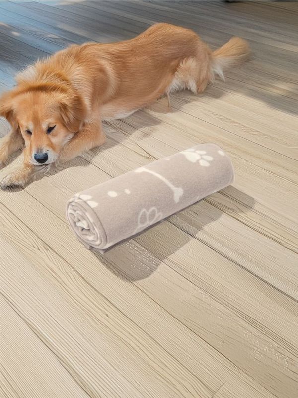 Sinsay Sinsay - Одеяло за домашни любимци - Светло сиво