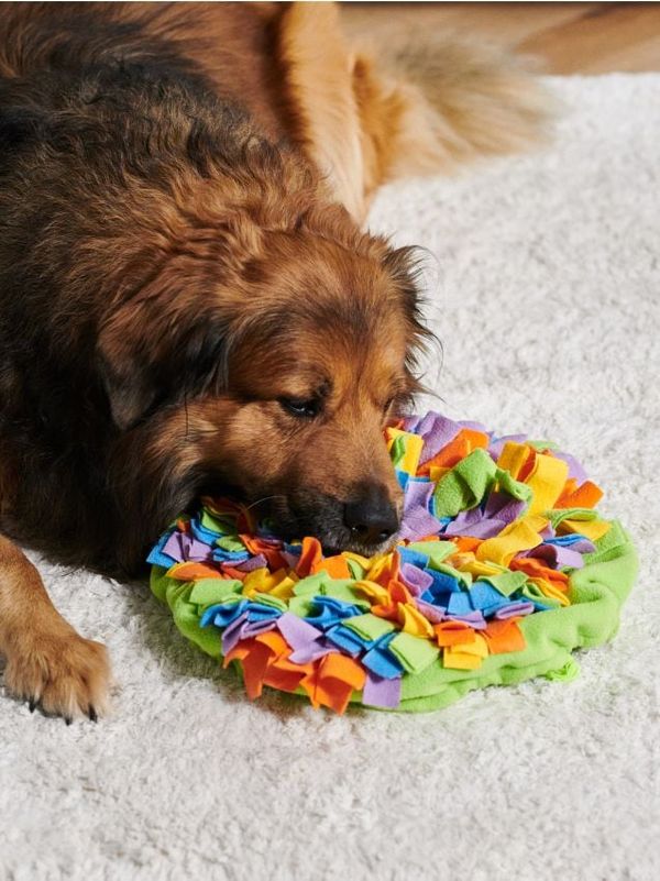 Sinsay Sinsay - Подложка за подушване - многоцветен