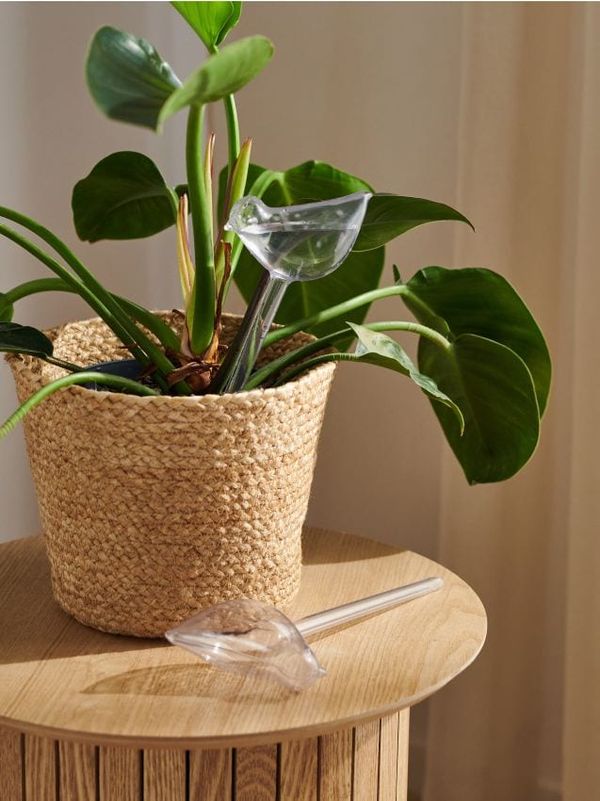 Sinsay Sinsay - Поливник за цветя - бял