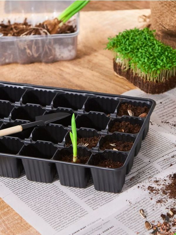 Sinsay Sinsay - Саксия - черeн