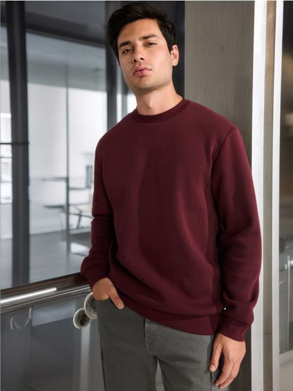 Sinsay Sinsay - Суитшърт basic - кестеняв