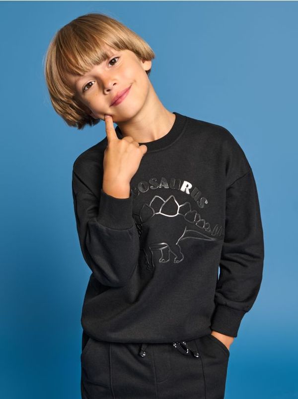 Sinsay Sinsay - Суитшърт - черeн