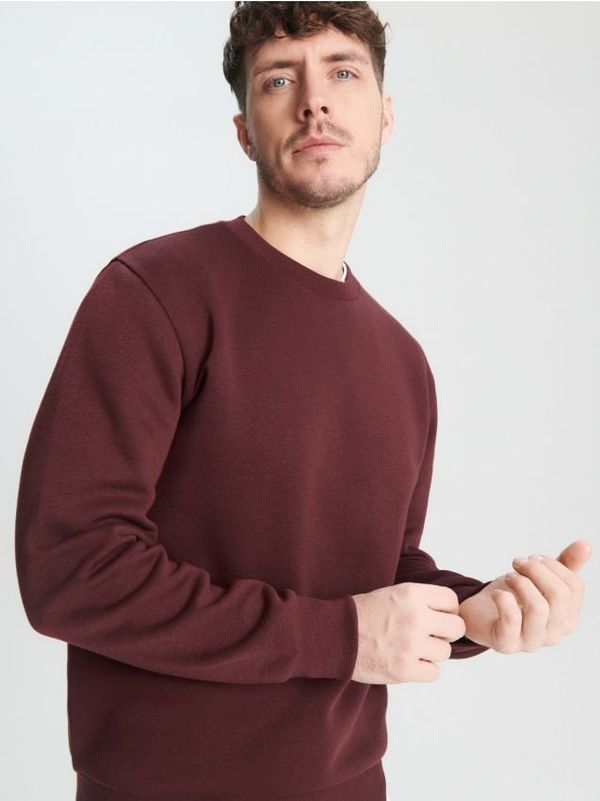 Sinsay Sinsay - Суитшърт - кестеняв