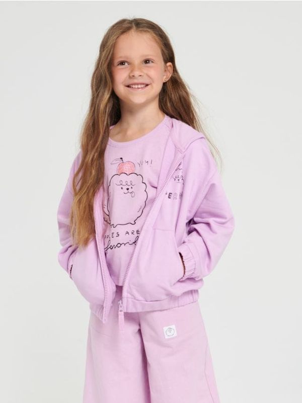 Sinsay Sinsay - Суитшърт с цип - хиацинт