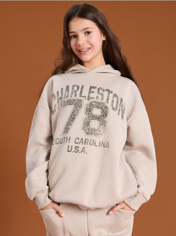 Sinsay Sinsay - Суитшърт с качулка - сиво-кафяво