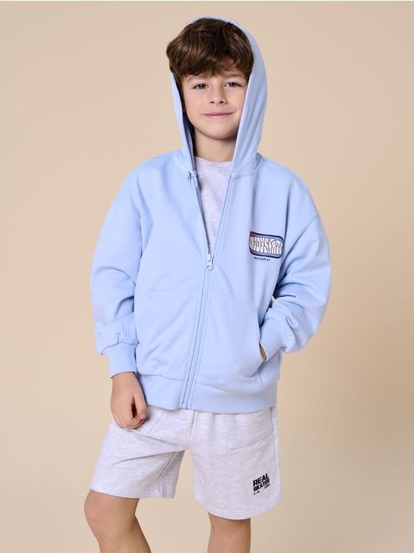 Sinsay Sinsay - Суитшърт с принт - бледосиньо