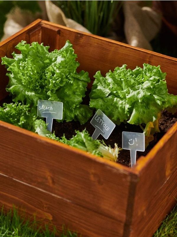 Sinsay Sinsay - Табелки за растения 10 pack - бял