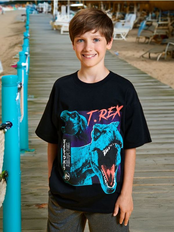 Sinsay Sinsay - Тениска Jurassic Park - черeн