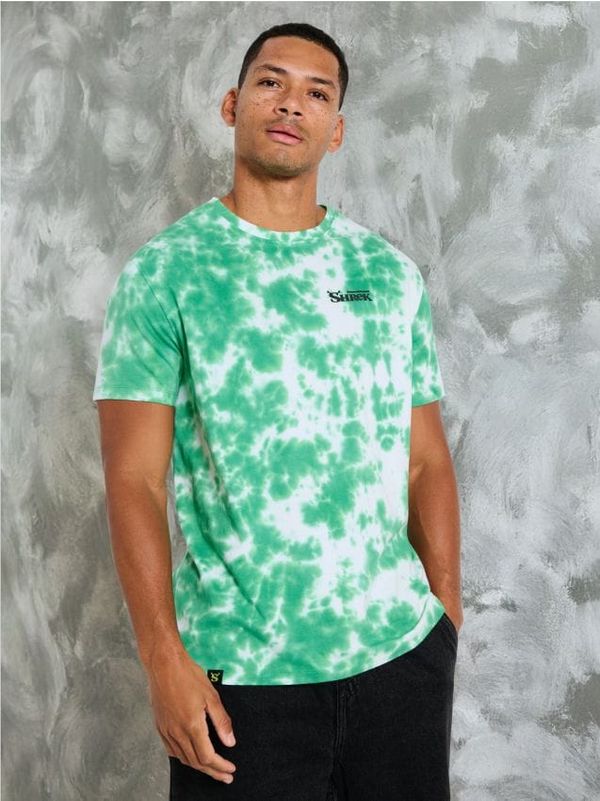 Sinsay Sinsay - Тениска Shrek - многоцветен