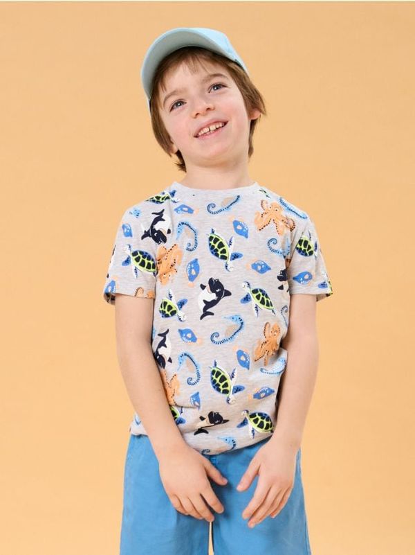 Sinsay Sinsay - Тениска - Светло сиво