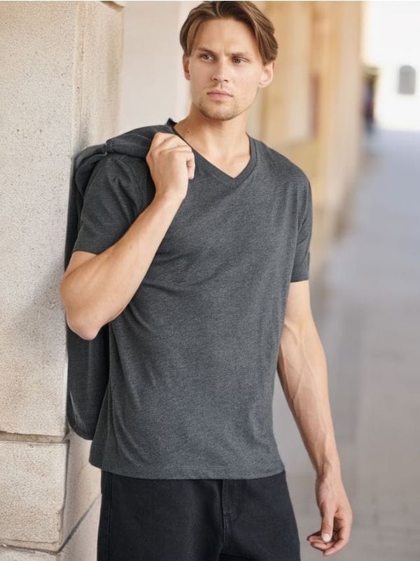 Sinsay Sinsay - Тениска - Светло сиво