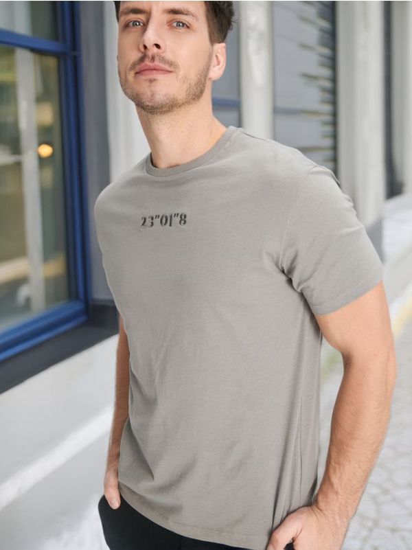 Sinsay Sinsay - Тениска - Светло сиво