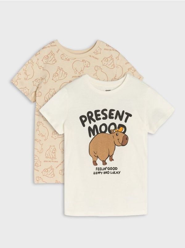 Sinsay Sinsay - Тениски, 2 броя - кремав