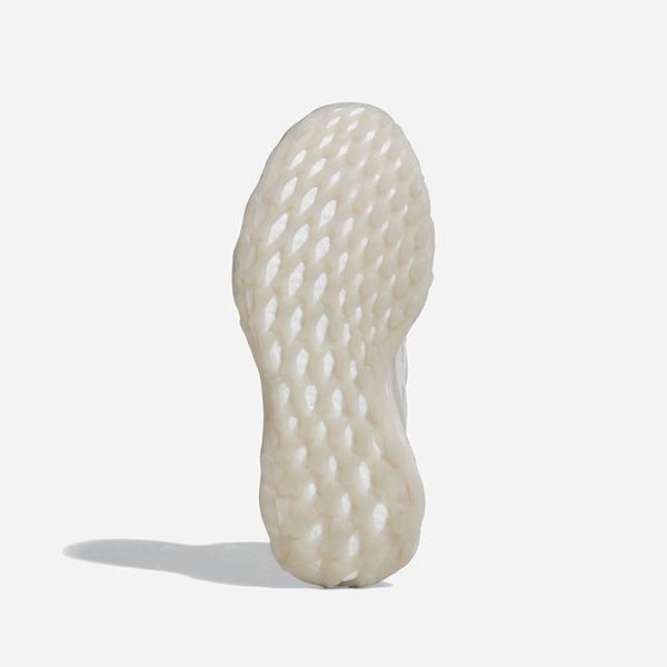 adidas Originals adidas Originals Ultraboost Web DNA GY8081