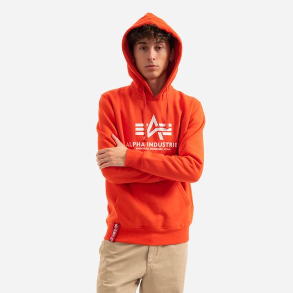 Alpha Industries Alpha Industries Basic Hoody 178312 577