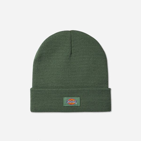 Dickies Dickies Gipsland DK0A4X7KC97