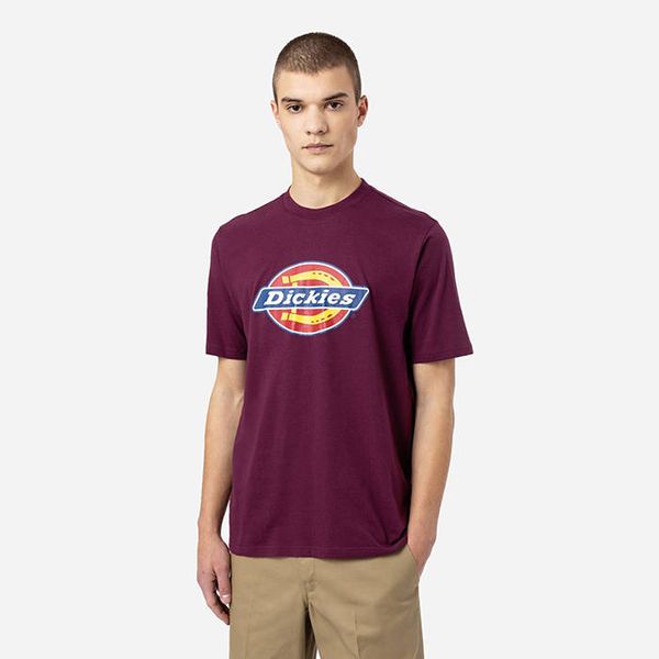 Dickies Dickies Icon Logo Tee DK0A4XC9C95