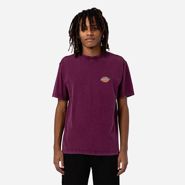 Dickies Dickies Icon Washed Tee DK0A4Y1RC95