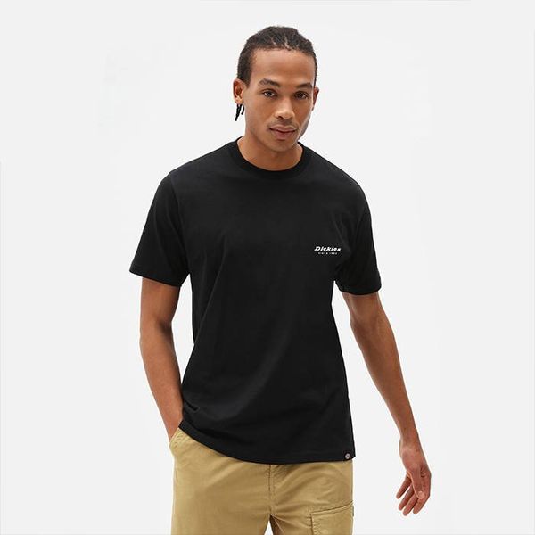 Dickies Dickies Quamba Box Tee DK0A4X9JBLK