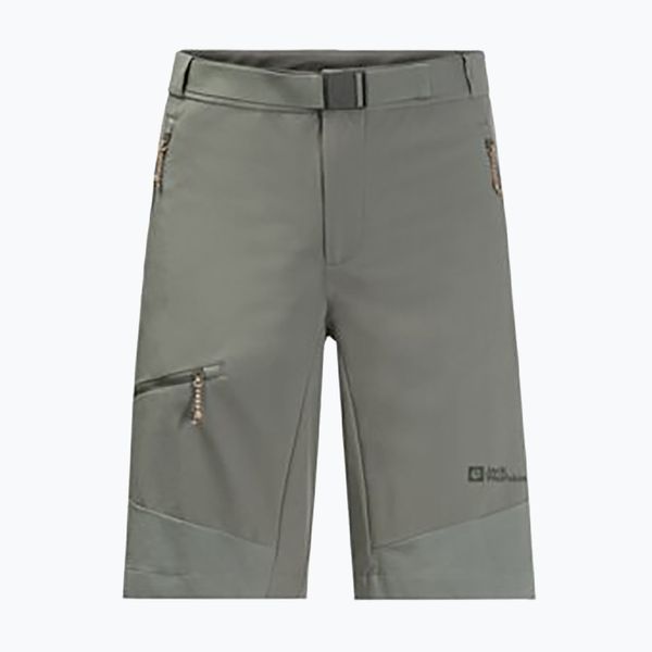 Jack Wolfskin Мъжки къси панталони за трекинг Ziegspitz green 1508071_4143_048 на Jack Wolfskin
