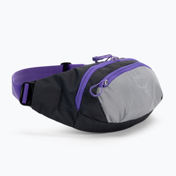 Osprey Osprey Daylite Waist 2L сиво-виолетова бъбрековидна торбичка 10004202