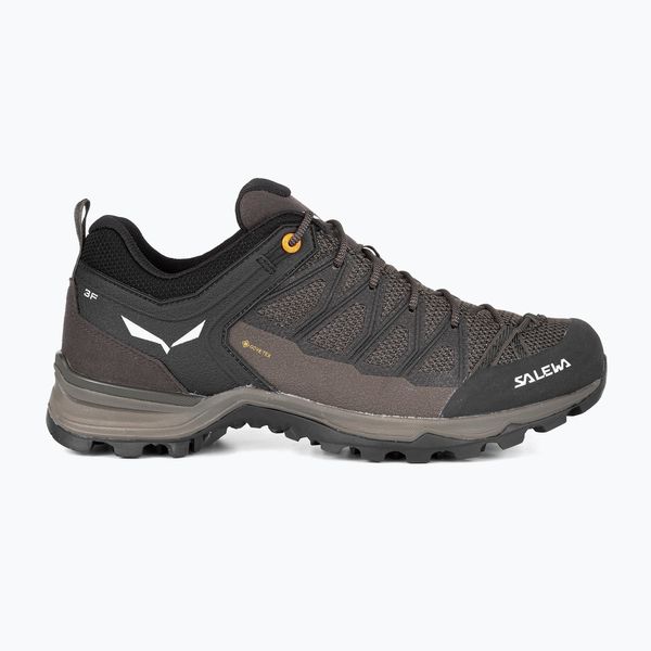Salewa Salewa MTN Trainer Lite GTX мъжки ботуши за трекинг кафяви 00-0000061361