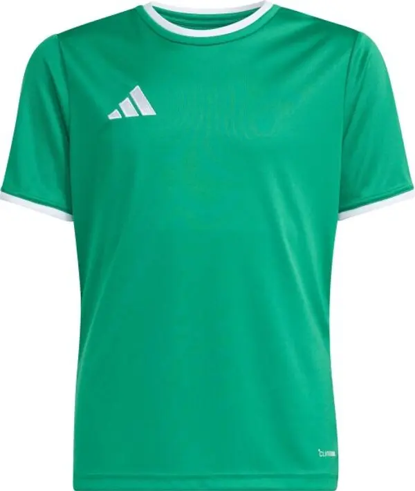 adidas adidas ENTRADA 26 JERSEY Y Детска спортна тениска, зелено, размер