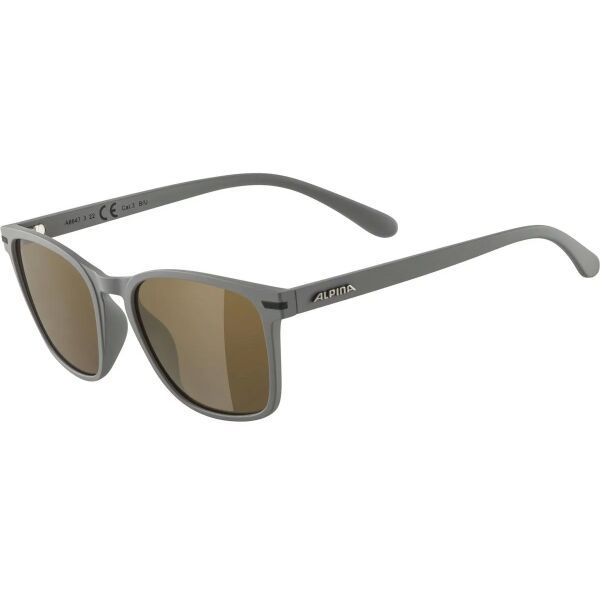 Alpina Sports Alpina Sports YEFE Слънчеви очила, тъмносиво, размер os