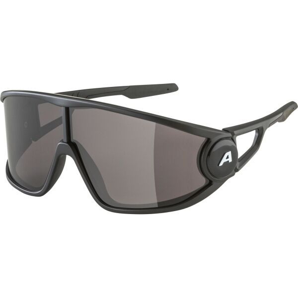 Alpina Sports Alpina Sports LEGEND Слънчеви очила, черно, размер