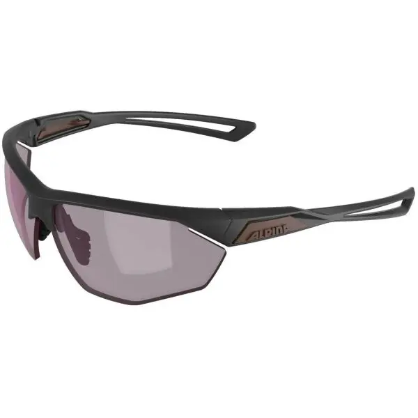 Alpina Sports Alpina Sports NYLOS HR Слънчеви очила, тъмносиво, размер