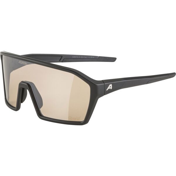 Alpina Sports Alpina Sports RAM Q-LITE V Слънчеви очила, черно, размер